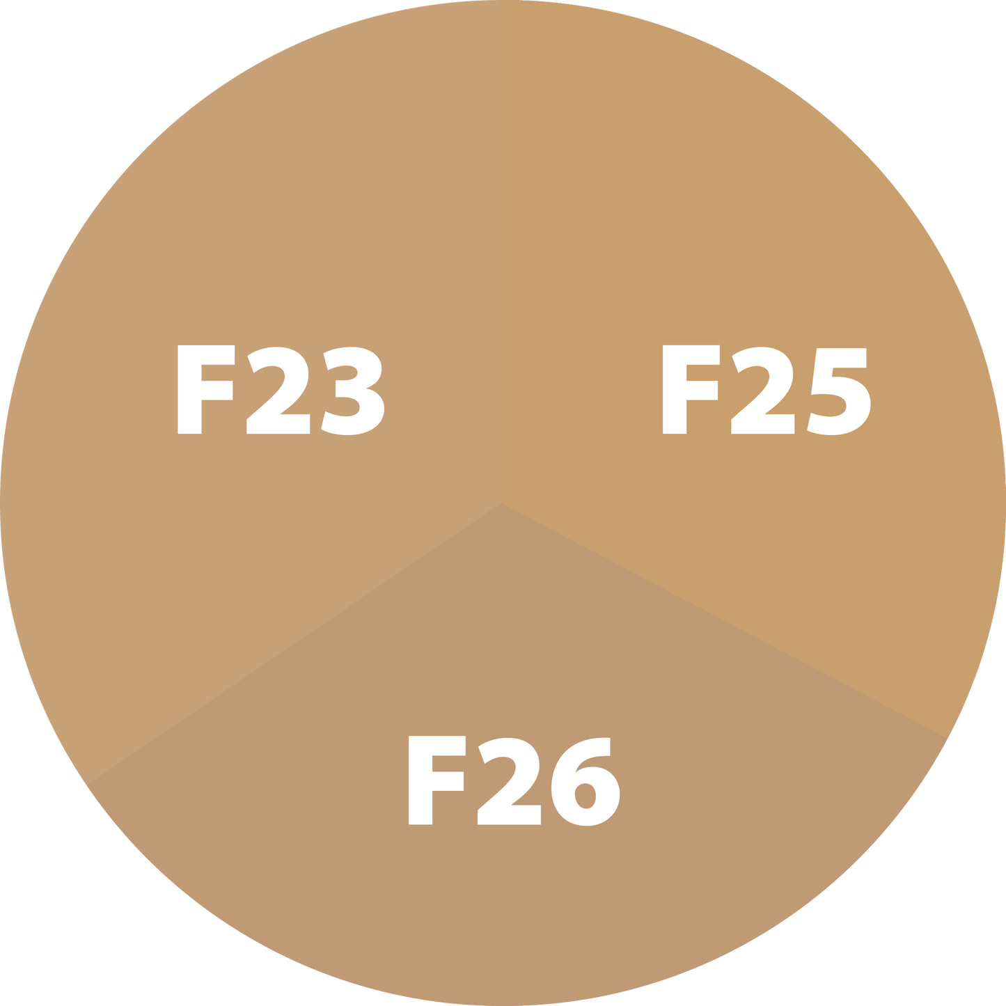 Pétit BeYOUtiful Foundation: Pack-Me-Up Tri-Sample 5ml Sized