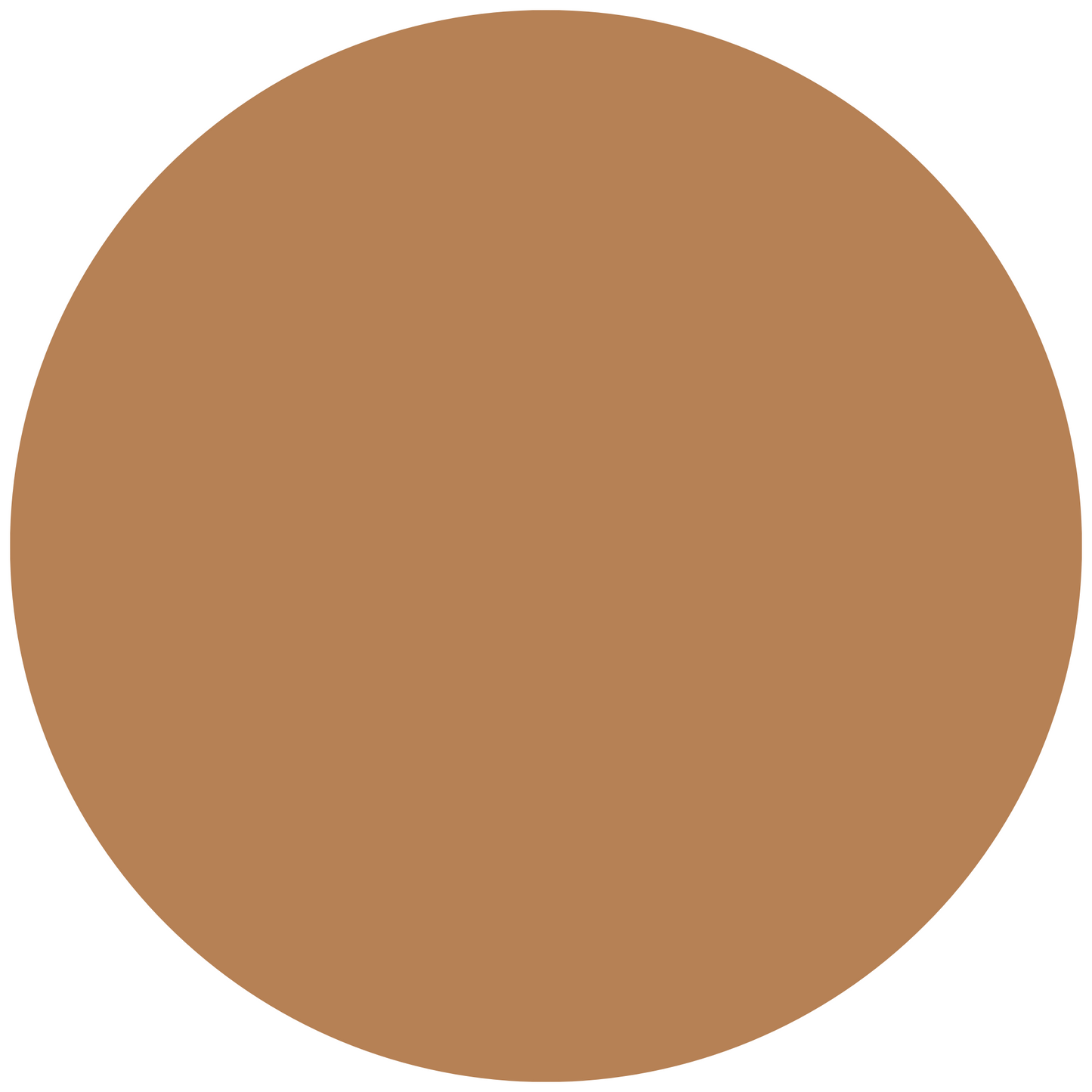 BeYOUtiful Soft Matte Longwear Liquid Foundation 32ml